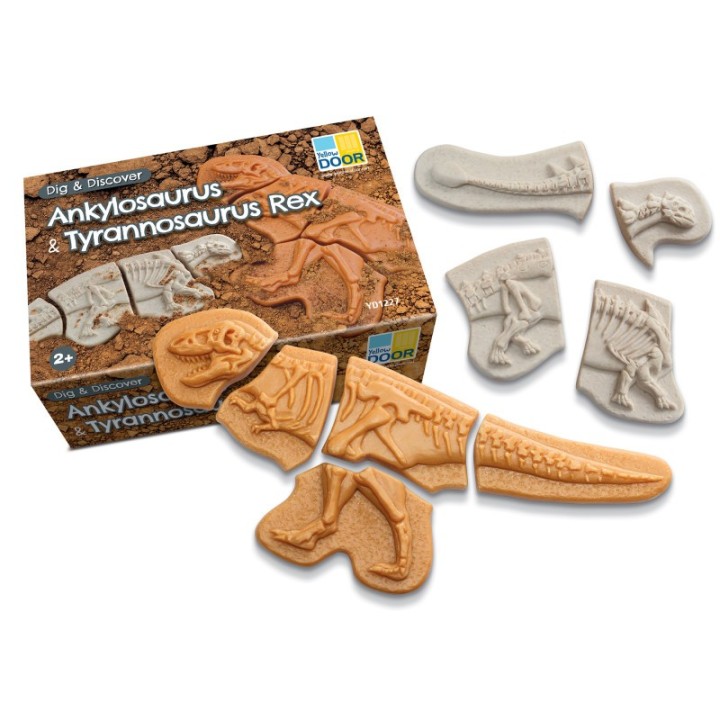 Yellow Door Dig and Discover - Ankylosaurus & Tyrannosaurus Rex