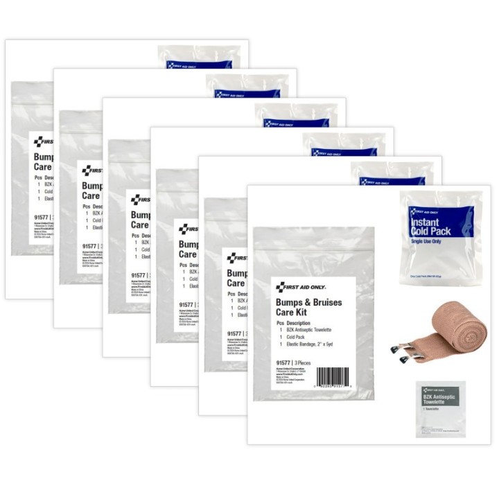 First Aid Only® Bumps and Bruises Care Kit, Pack of 6