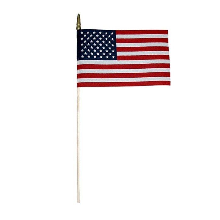 Annin & Company Verona Brand U.S. Miniature Flag, 8" x 12"