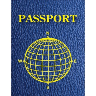 Ashley Productions® Blank Passports, Pack of 12