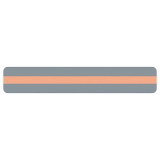 Ashley Productions® Sentence Strip Reading Guide, 1-1/4" x 7-1/4", Peach