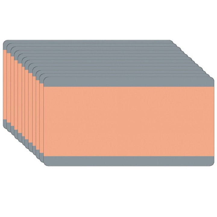 Ashley Productions® Big Reading Guide, 3-3/4" x 7-1/4", Peach, Pack of 12