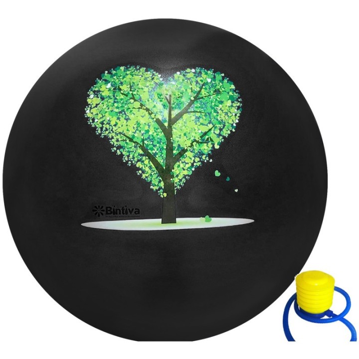 Bintiva Exercise Ball with Stabilizing Sand, 55cm, Black