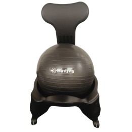 Bintiva Stability Ball Chair, Adult, Black/Black