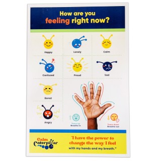 The Calm Caterpillar Calm Caterpillar Feelings & Emotions Chart For Kids & Toddlers