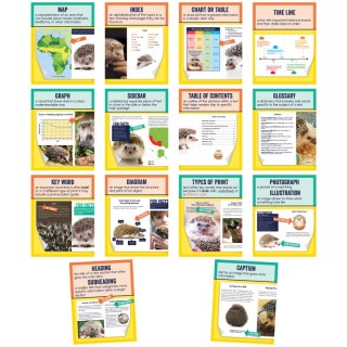 Carson Dellosa Education Mini Posters: Nonfiction Text Features Poster Set, Grade 1-6, 14 Pieces