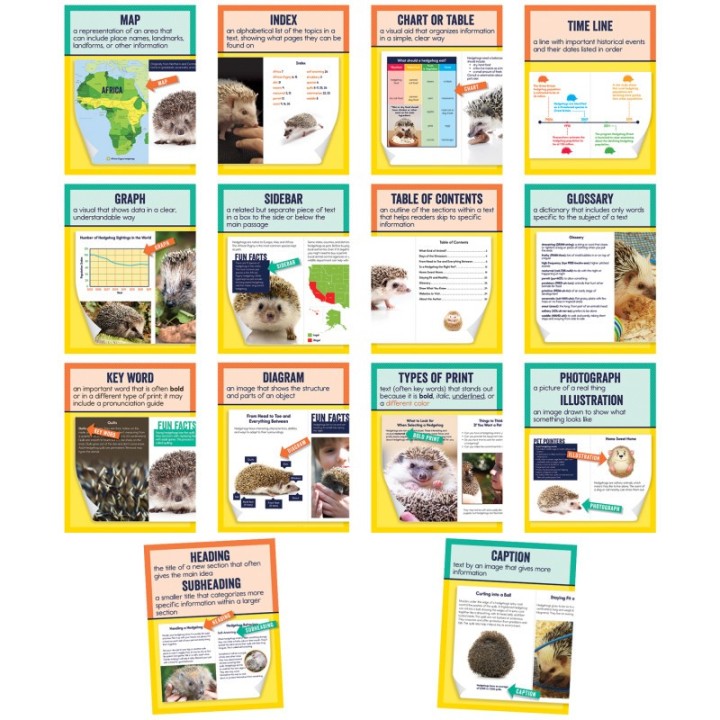 Carson Dellosa Education Mini Posters: Nonfiction Text Features Poster Set, Grade 1-6, 14 Pieces