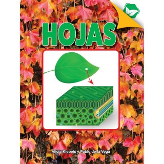 Discovery Library Hojas Book, Hardcover