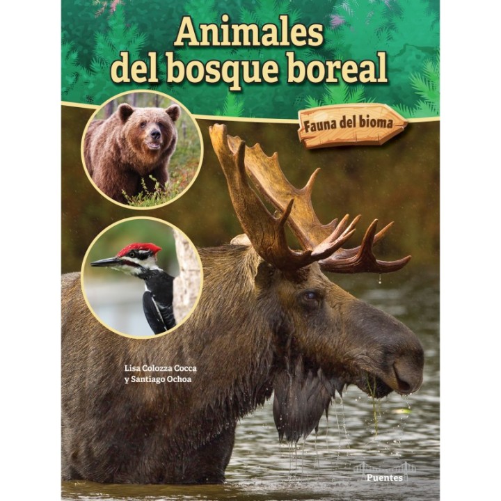 Bridges Animales del bosque boreal Hardcover