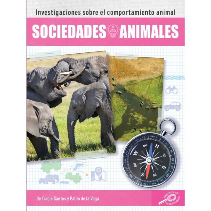 Discovery Library Sociedades animales Paperback