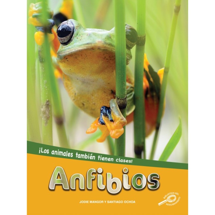 Discovery Library Anfibios Paperback