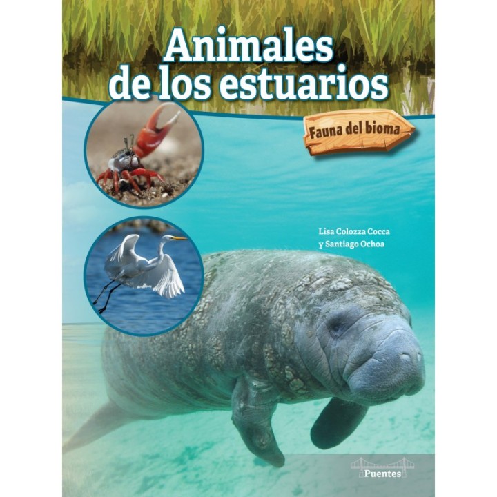 Bridges Animales de los estuarios Paperback