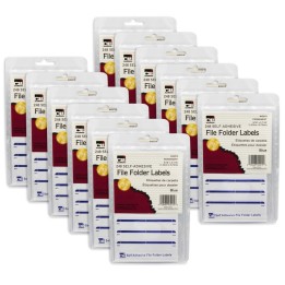 Charles Leonard File Folder Labels, Blue, 248 Per Pack, 12 Packs