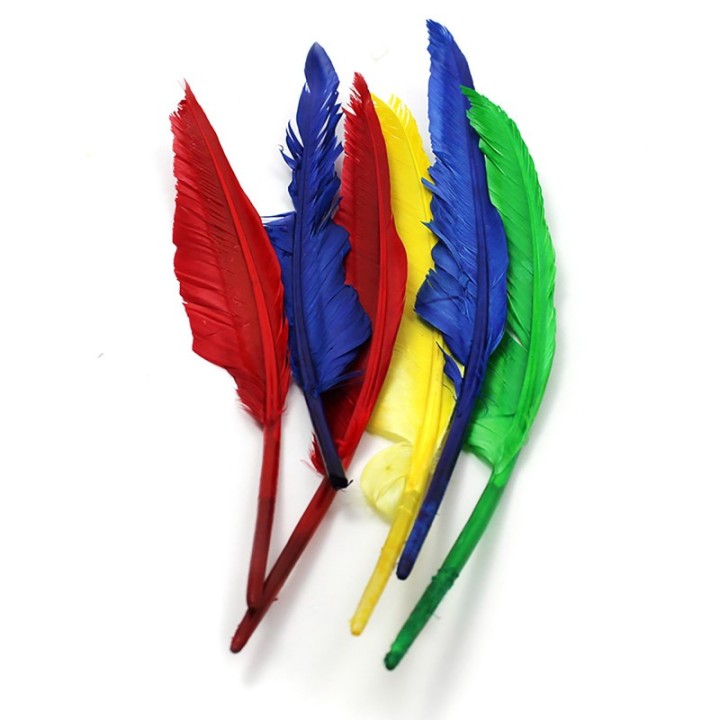 Charles Leonard Quill Feathers, 10" & 12", 6 Per Pack, 12 Packs