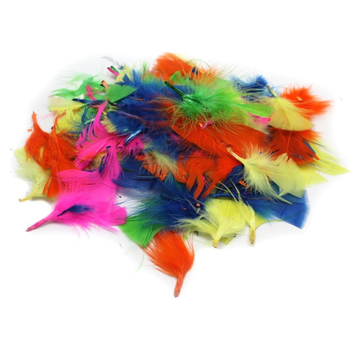 Charles Leonard Turkey Feathers, Hot Colors, 14g Bag