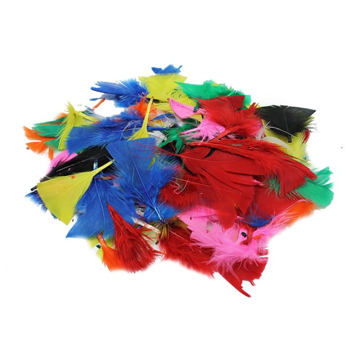 Charles Leonard Turkey Feathers, Bright Colors, 14 Grams