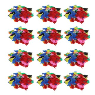Charles Leonard Turkey Feathers, Bright Colors, 14 Grams Per Pack, 12 Packs