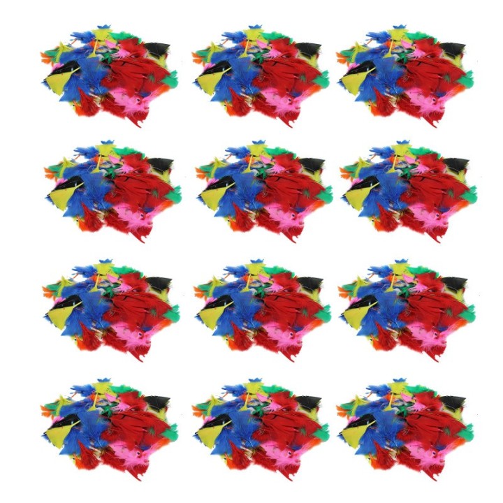 Charles Leonard Turkey Feathers, Bright Colors, 14 Grams Per Pack, 12 Packs