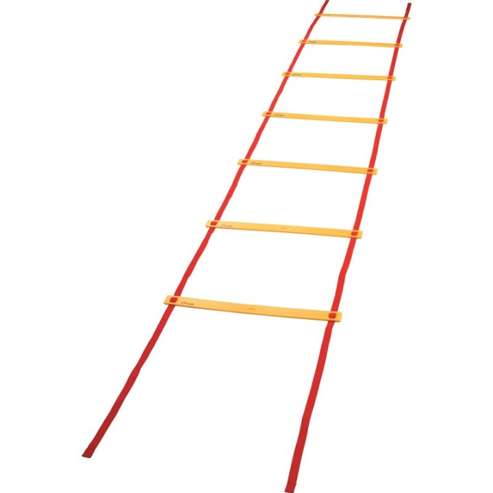 Champion Sports Economy Agility Ladder