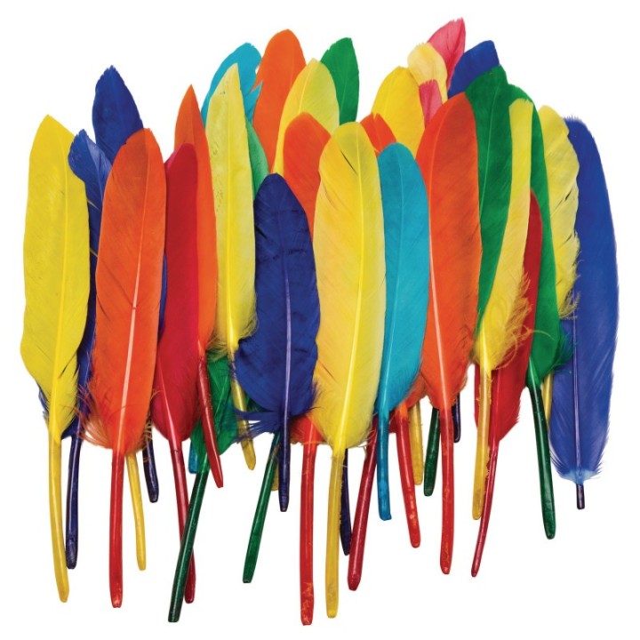 Creativity Street® Duck Quills, Assorted Colors, 3" to 5", 14 grams