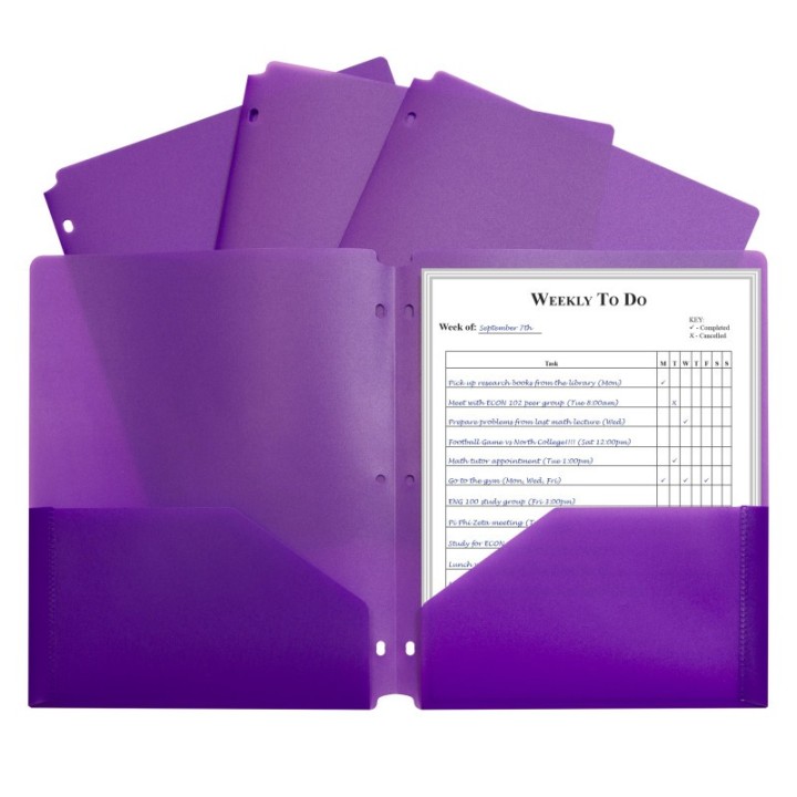 C-Line® Two-Pocket Heavyweight Poly Portfolio Folder with Three-Hole Punch, Purple, Each