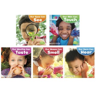 Little Pebble Our Amazing Senses, Set of 5 books
