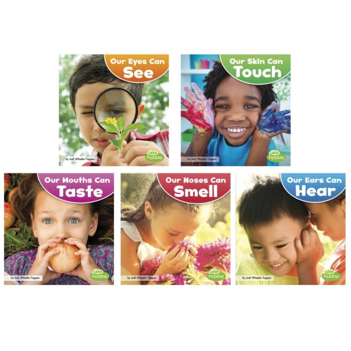 Little Pebble Our Amazing Senses, Set of 5 books