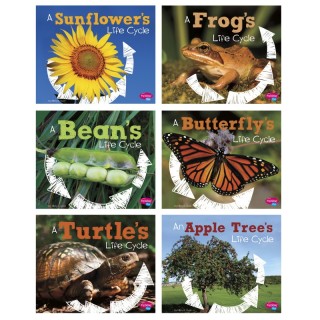 Pebble Plus Explore Life Cycles, Set of 6 books