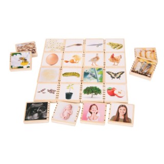 TickiT® Wooden Lifecycle Tiles