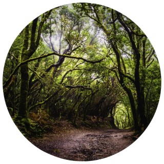 TickiT® Forest Discovery Play Mat