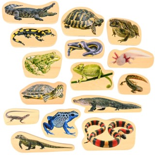 TickiT® Wooden Reptile & Amphibian Blocks - Set of 15