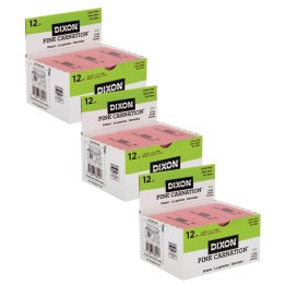 Dixon® Pink Carnation Erasers, Large, 2-9/16 x 1 x 7/16, 12 Per Pack, 3 Packs