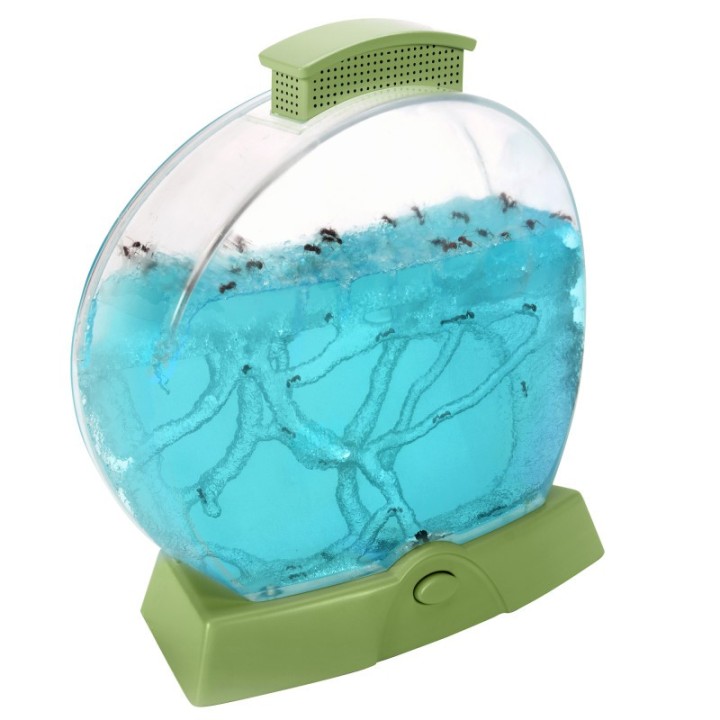 Educational Insights Geosafari® Day 'N' Night Ant Farm