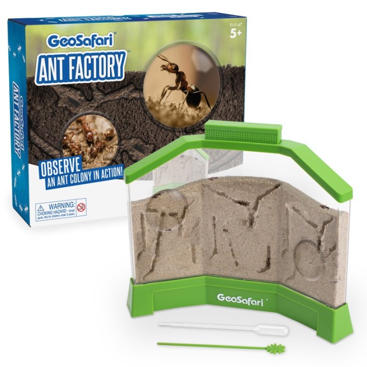 Educational Insights GeoSafari® Ant Factory™