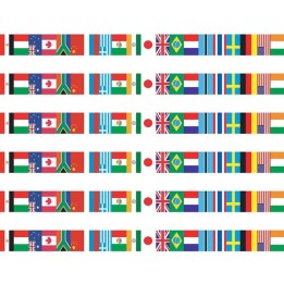 Edupress™ International Flags Spotlight Border™, 36 Per Pack, 6 Packs