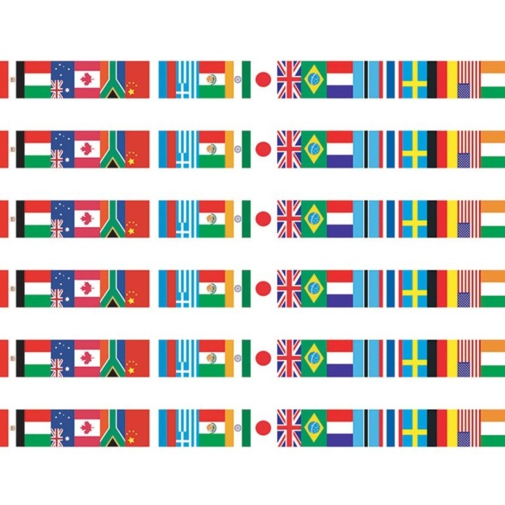 Edupress™ International Flags Spotlight Border™, 36 Per Pack, 6 Packs